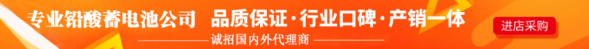 電動(dòng)叉車(chē)蓄電池生產(chǎn)廠(chǎng)家